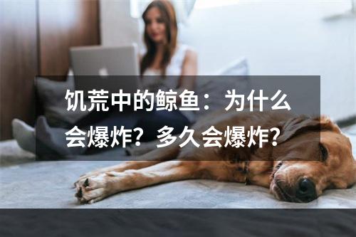 饥荒中的鲸鱼：为什么会爆炸？多久会爆炸？