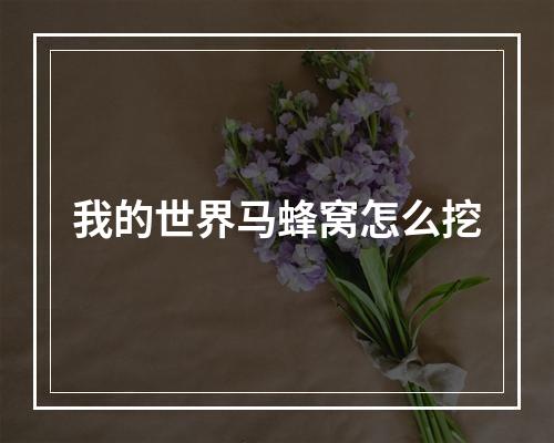 我的世界马蜂窝怎么挖