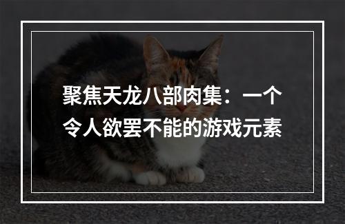 聚焦天龙八部肉集：一个令人欲罢不能的游戏元素