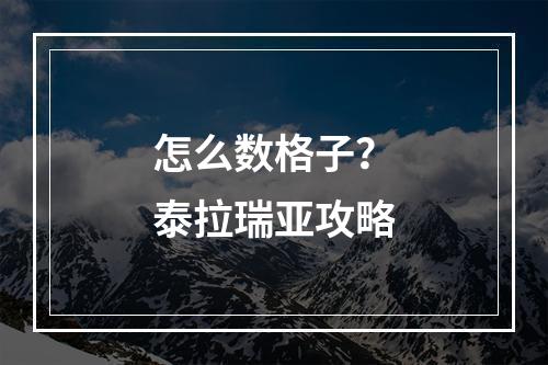 怎么数格子？泰拉瑞亚攻略