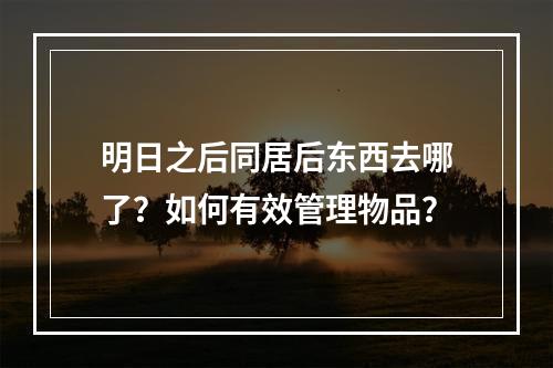 明日之后同居后东西去哪了？如何有效管理物品？