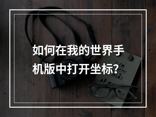 如何在我的世界手机版中打开坐标？