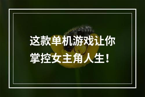 这款单机游戏让你掌控女主角人生！