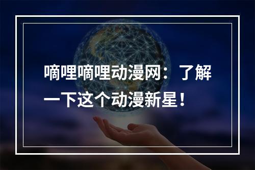 嘀哩嘀哩动漫网：了解一下这个动漫新星！