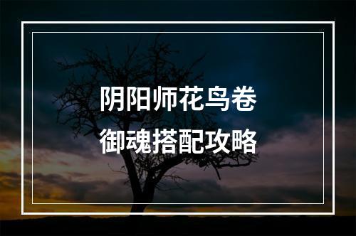 阴阳师花鸟卷御魂搭配攻略