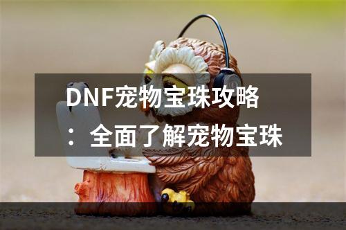 DNF宠物宝珠攻略：全面了解宠物宝珠