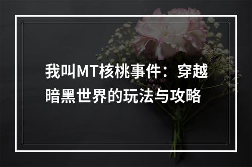 我叫MT核桃事件：穿越暗黑世界的玩法与攻略