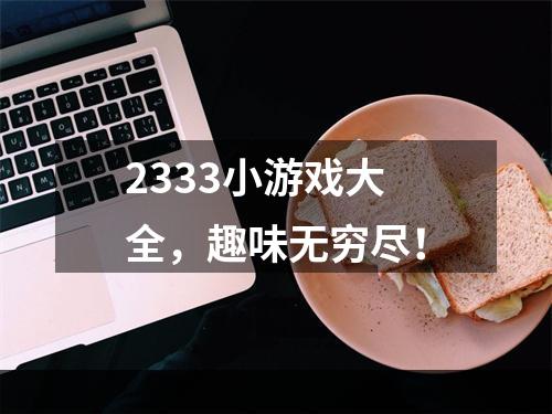 2333小游戏大全，趣味无穷尽！