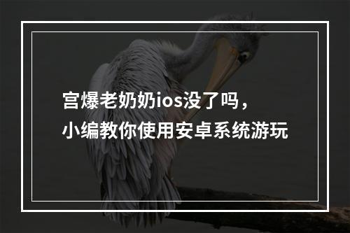 宫爆老奶奶ios没了吗，小编教你使用安卓系统游玩