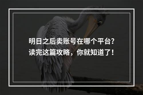 明日之后卖账号在哪个平台？读完这篇攻略，你就知道了！