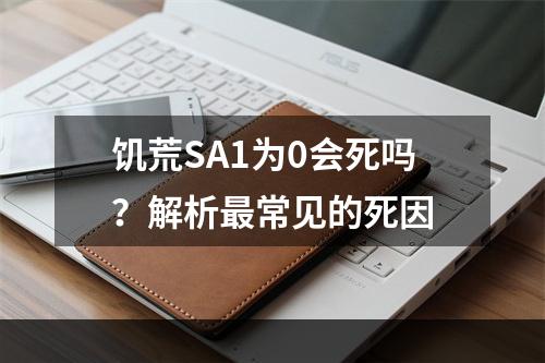 饥荒SA1为0会死吗？解析最常见的死因