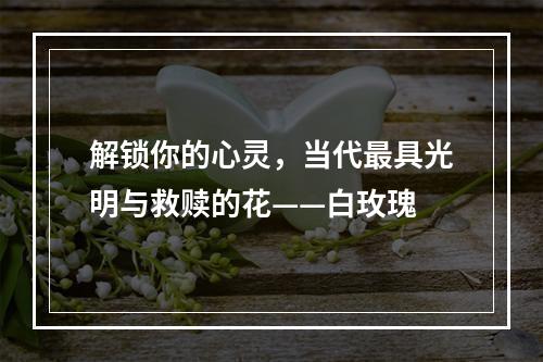 解锁你的心灵，当代最具光明与救赎的花——白玫瑰