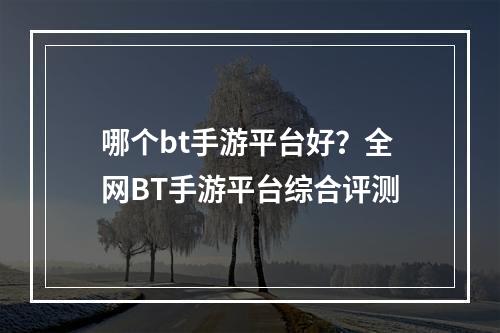 哪个bt手游平台好？全网BT手游平台综合评测