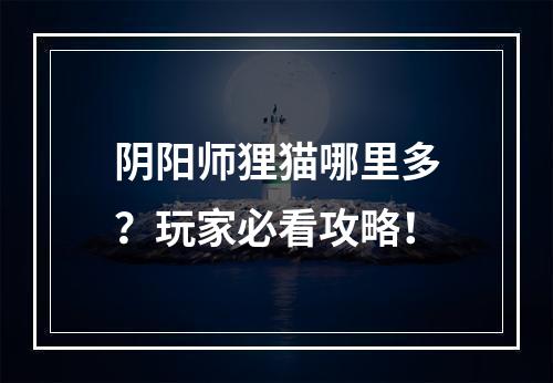 阴阳师狸猫哪里多？玩家必看攻略！