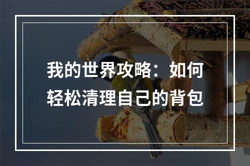 我的世界攻略：如何轻松清理自己的背包