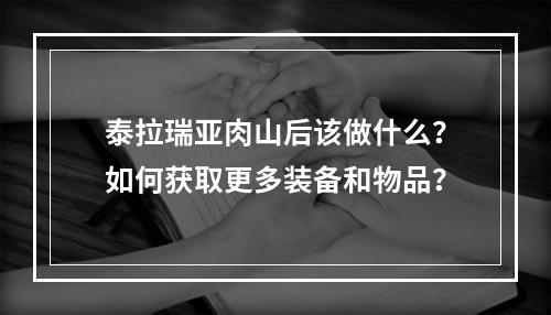 泰拉瑞亚肉山后该做什么？如何获取更多装备和物品？