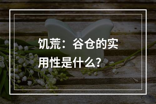 饥荒：谷仓的实用性是什么？