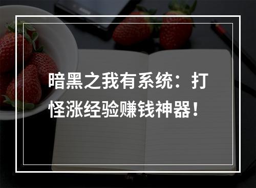 暗黑之我有系统：打怪涨经验赚钱神器！