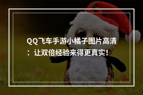 QQ飞车手游小橘子图片高清：让双倍经验来得更真实！