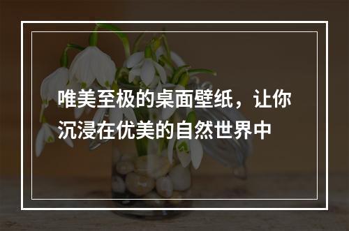 唯美至极的桌面壁纸，让你沉浸在优美的自然世界中