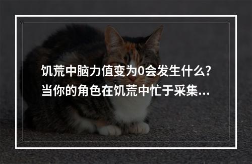 饥荒中脑力值变为0会发生什么？当你的角色在饥荒中忙于采集和制造，一定会注意到他的脑力值（sanity）这一