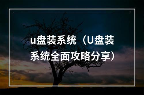 u盘装系统（U盘装系统全面攻略分享）