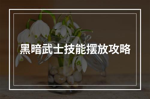 黑暗武士技能摆放攻略