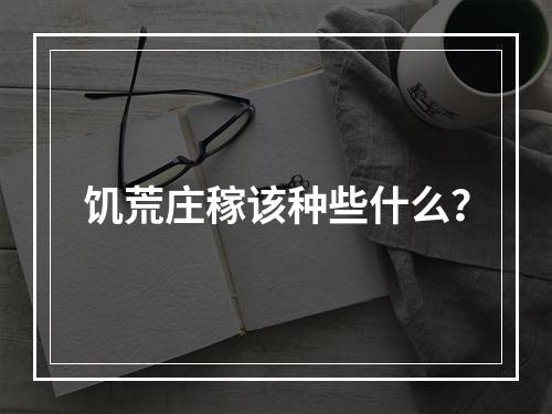 饥荒庄稼该种些什么？