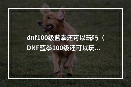 dnf100级蓝拳还可以玩吗（DNF蓝拳100级还可以玩吗？打造最强狂拳教你如何玩转！）