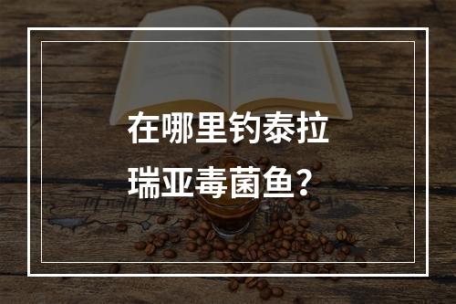 在哪里钓泰拉瑞亚毒菌鱼？