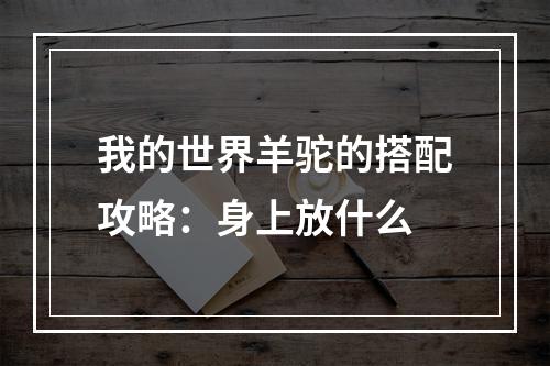 我的世界羊驼的搭配攻略：身上放什么