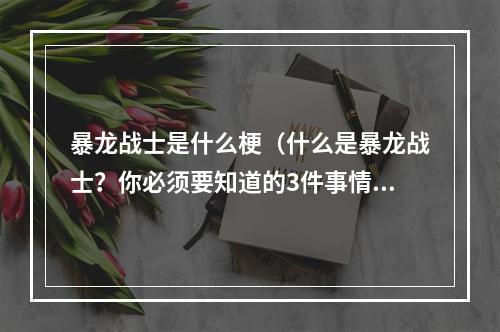 暴龙战士是什么梗（什么是暴龙战士？你必须要知道的3件事情）