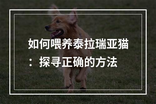 如何喂养泰拉瑞亚猫：探寻正确的方法