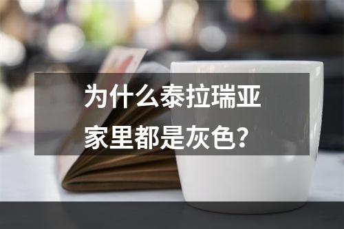 为什么泰拉瑞亚家里都是灰色？