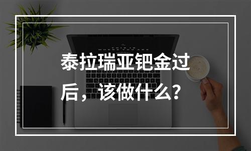 泰拉瑞亚钯金过后，该做什么？