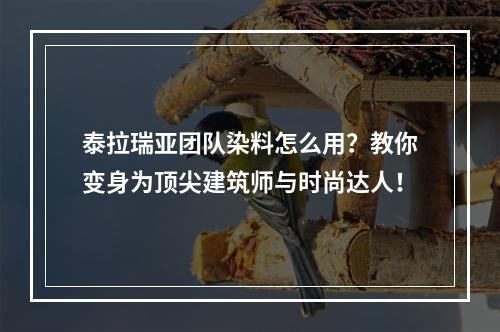 泰拉瑞亚团队染料怎么用？教你变身为顶尖建筑师与时尚达人！