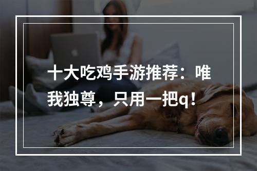 十大吃鸡手游推荐：唯我独尊，只用一把q！