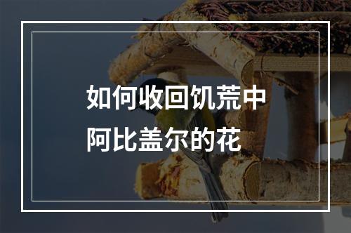 如何收回饥荒中阿比盖尔的花