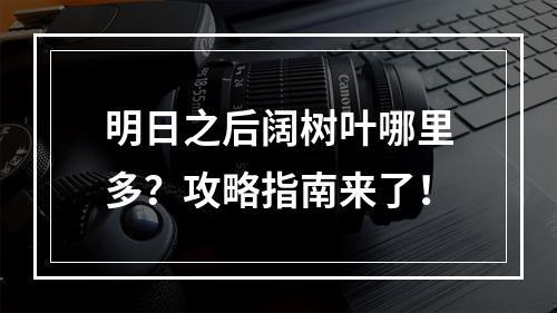 明日之后阔树叶哪里多？攻略指南来了！