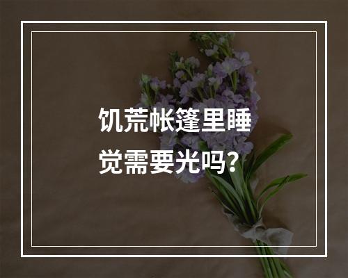 饥荒帐篷里睡觉需要光吗？