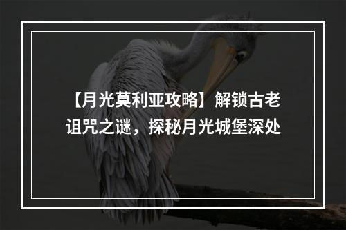 【月光莫利亚攻略】解锁古老诅咒之谜，探秘月光城堡深处