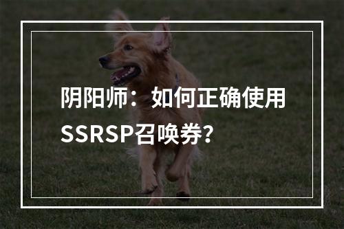 阴阳师：如何正确使用SSRSP召唤券？