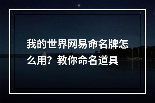 我的世界网易命名牌怎么用？教你命名道具