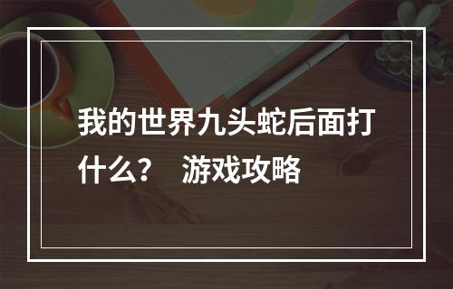 我的世界九头蛇后面打什么？  游戏攻略