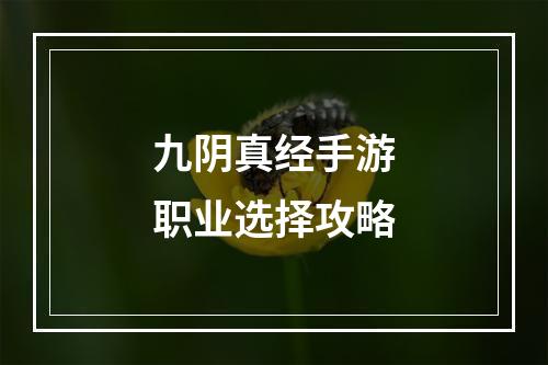 九阴真经手游职业选择攻略