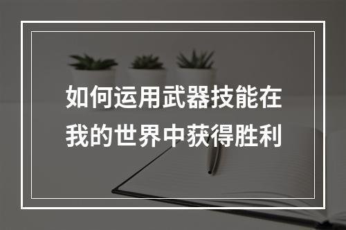 如何运用武器技能在我的世界中获得胜利