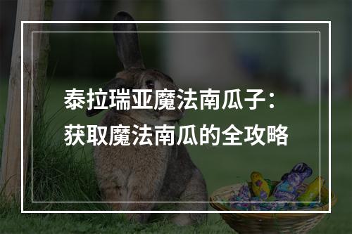 泰拉瑞亚魔法南瓜子：获取魔法南瓜的全攻略