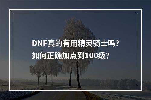 DNF真的有用精灵骑士吗？如何正确加点到100级？