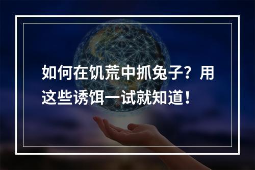 如何在饥荒中抓兔子？用这些诱饵一试就知道！