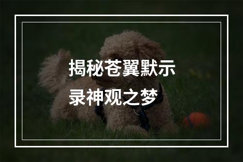 揭秘苍翼默示录神观之梦